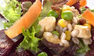 ensalada-cebada-pollo-xl-668x400x80xx