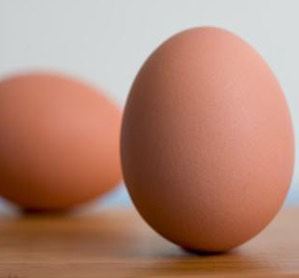 Huevos