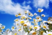 Bienvenido Marzo Marzo 3