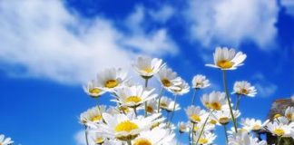 Bienvenido Marzo Marzo 3