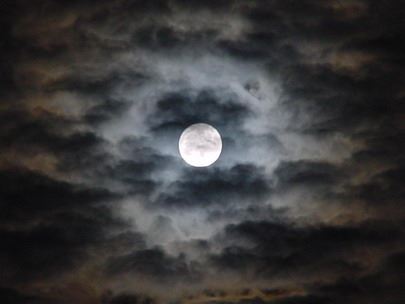 Luna Nueva