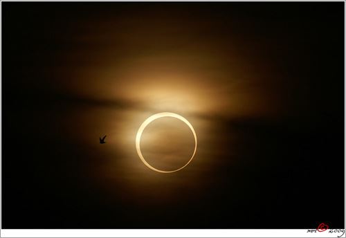 Eclipse Total de Sol Eclipse Total de Sol