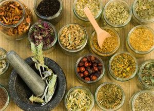Plantas-medicinales