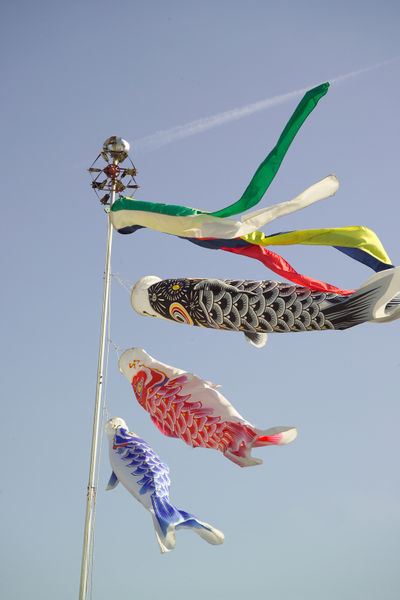 400px-Koinobori4797