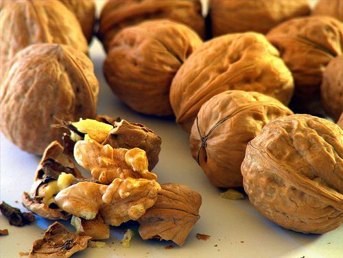 Nueces1