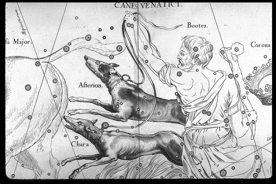 Canes_Venatici Canes_Venatici