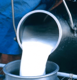 La Deteccian De Antibiaticos En La Leche