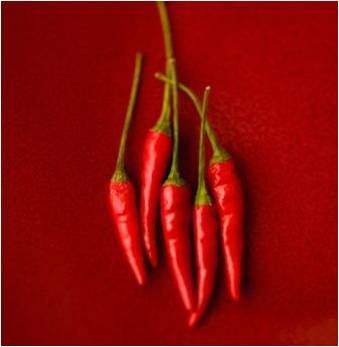 aji picante aji picante