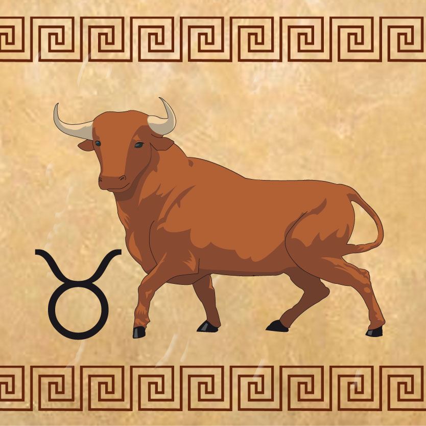 Tauro Tauro