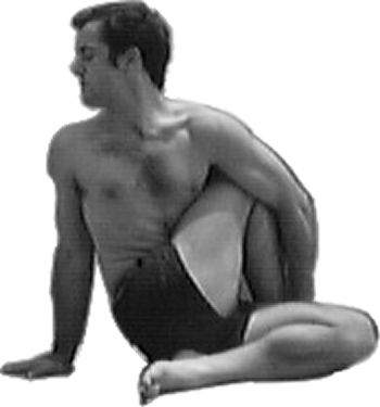 Torsion Asana