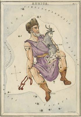 auriga auriga