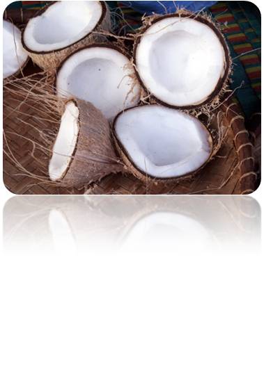 Cocos-cocinando Cocos-cocinando
