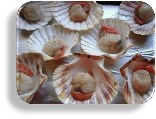 Vieiras-gratinadas-al-ajillo-cocinando