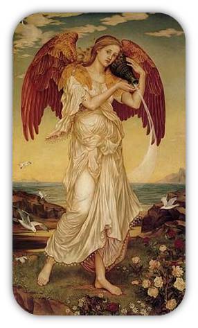 Edifica-la-oportunidad-2-