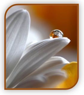 guillermourbizu.com1_