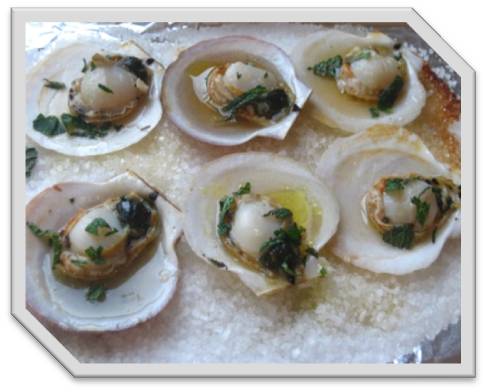 Vieiras-gratinadas-Cocinando