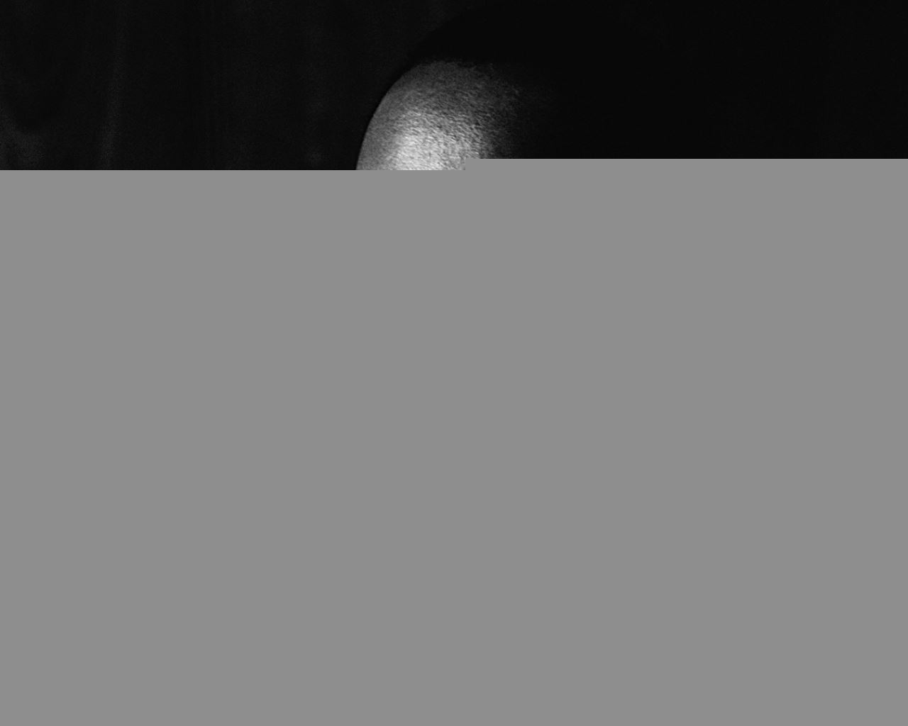 Martin Luther King Shirt Face Look Hands 8410 1280×10241