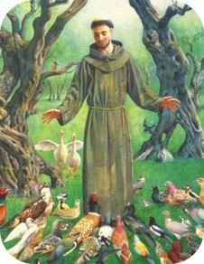 San-Francisco-de-Asis