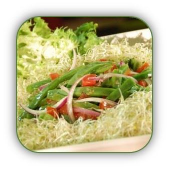 Ensalda De Atun Con Alfalfa