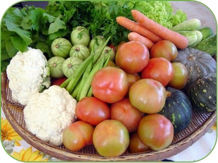 vegetales vegatales ricos