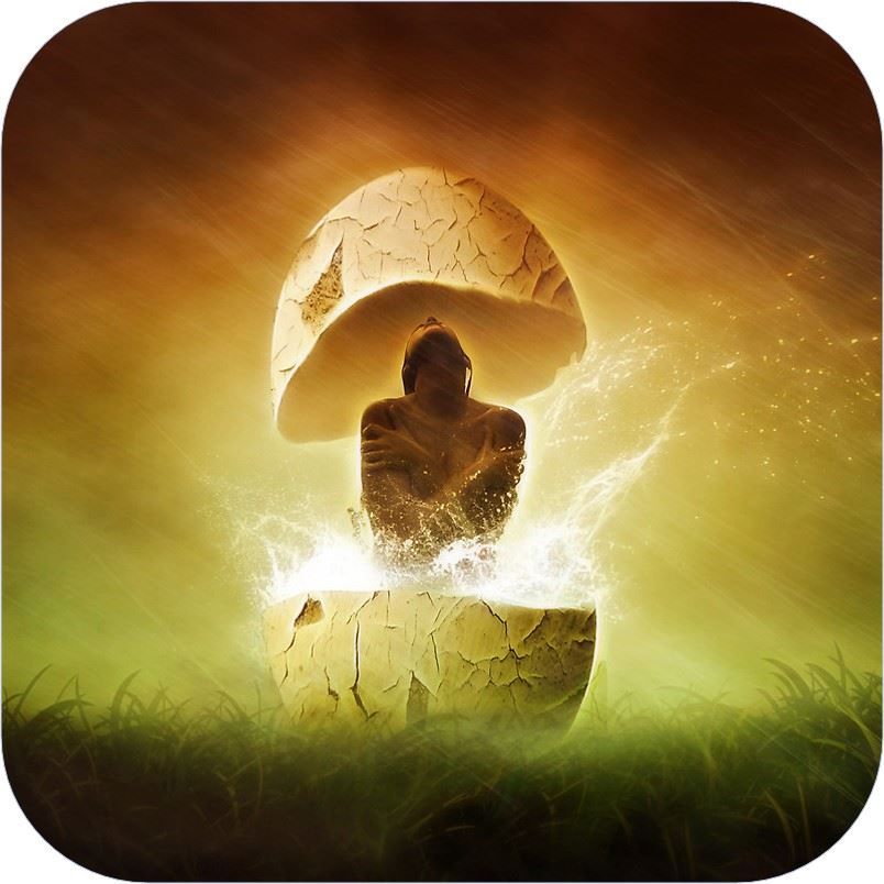 Despierta Tu Memoria Ancestral