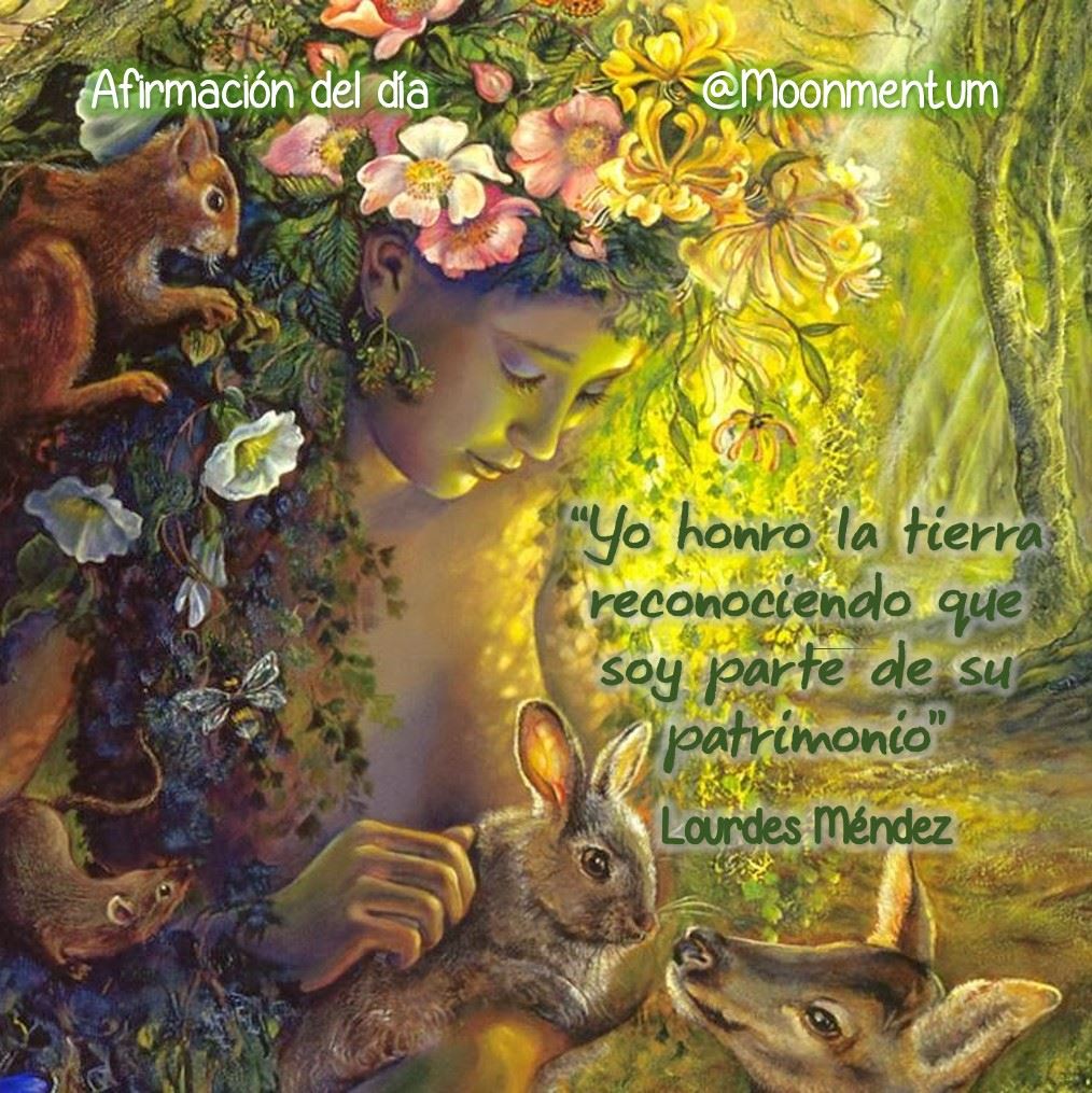 Afirmacion-22.04.2014