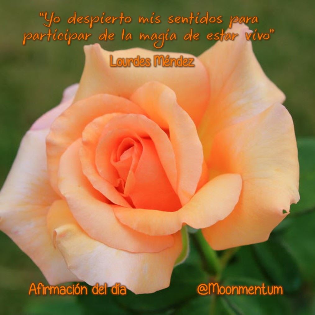 Afirmacion-24.04.20141