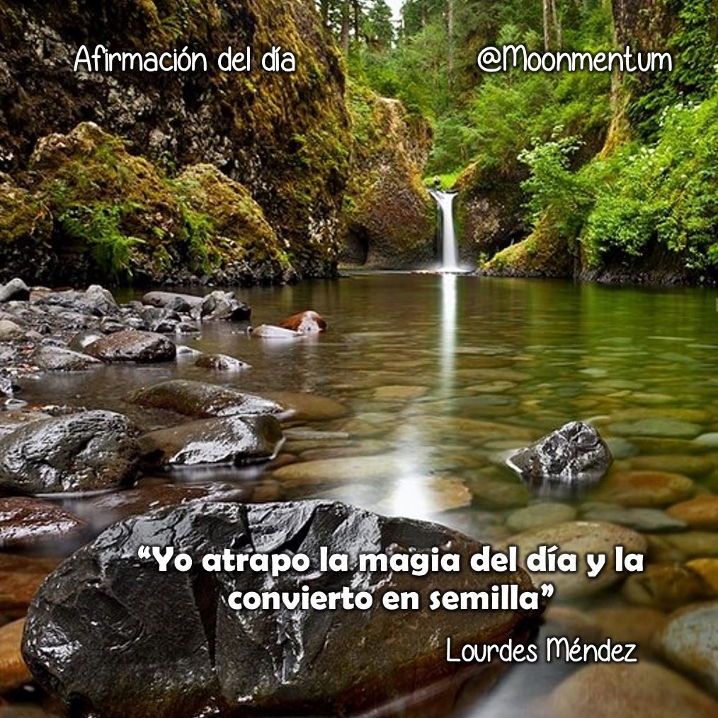 Afirmacion-25.04.2014