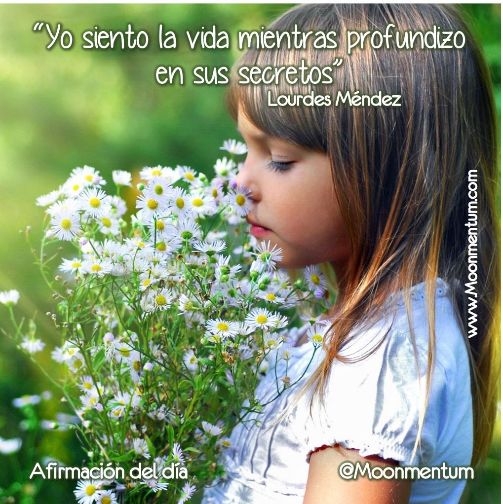 Afirmacion-30-09-2014