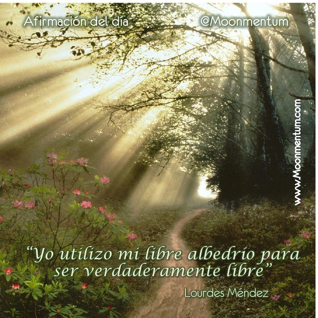 Afirmacion-23-10-2014
