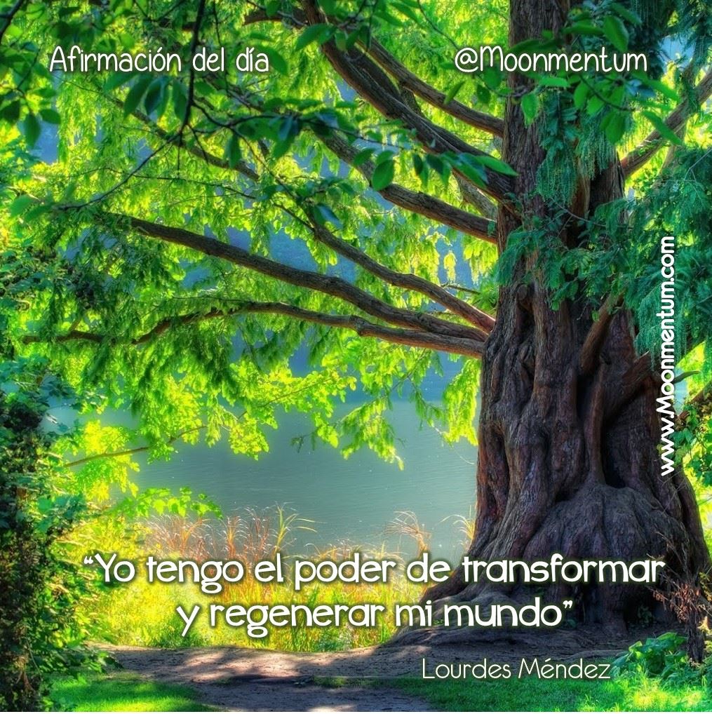 Afirmacion-19-01-2015-