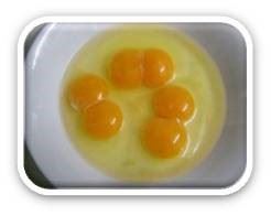 Huevos Dobles