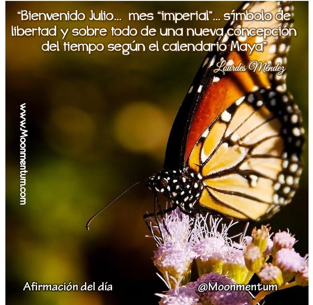 Afirmacion-01-07-2015