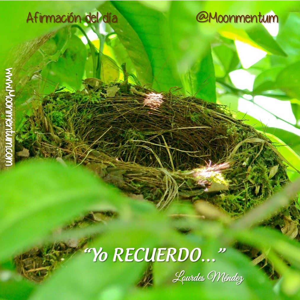 Afirmacion-16-09-2015