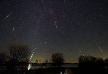 Mirando las Estrellas