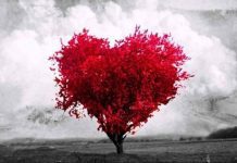 Bienvenido Febrero Febrero