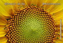 «LO SIENTO,PERDÓNAME,TE AMO, GRACIAS…»