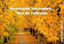 Bienvenido Noviembre