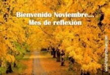 Afirmación del dia 01/11/2025