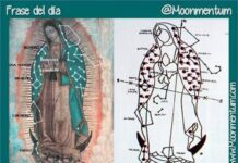 Afirmación del dia 11/12/2025