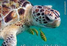 Afirmación del dia 11/01/2026