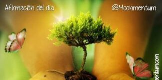 Afirmación del dia 21/04/2026