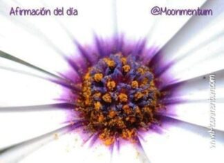 Afirmación del dia 18/06/2026