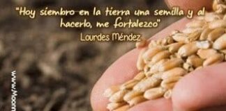 Afirmación del dia 03/08/2026