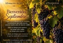 Frase del dia 01/09/2026