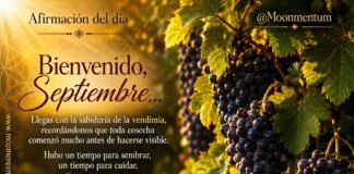 Frase del dia 01/09/2026
