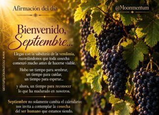 Frase del dia 01/09/2026