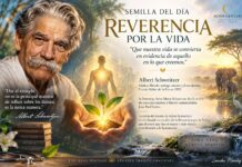 Afirmación del dia 05/09/2026