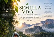 Afirmación del dia 10/09/2026